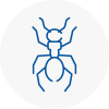 Ant Removals In Ebbw Vale