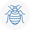 Bed Bug Extermination In Ebbw Vale