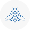 Bee Nest Removal Ebbw Vale