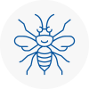 Ebbw Vale Hornet Nest Removals