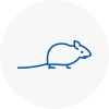 Mice Exterminators In Ebbw Vale