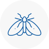 Moth Control Specialists In Ebbw Vale