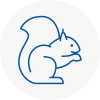 Ebbw Vale Rodent Removals